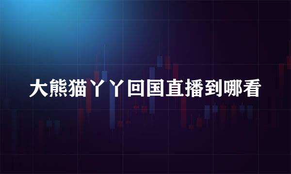大熊猫丫丫回国直播到哪看