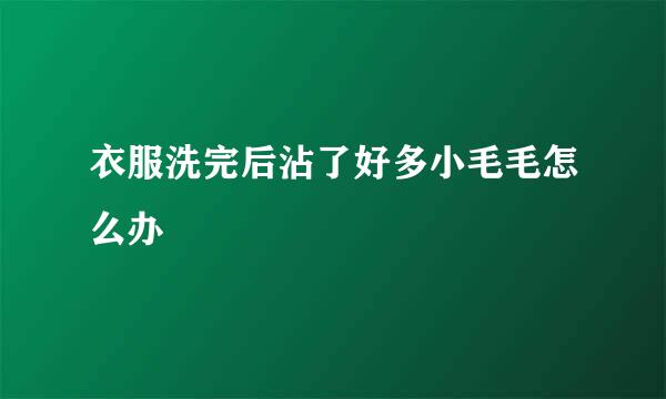 衣服洗完后沾了好多小毛毛怎么办