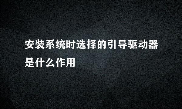 安装系统时选择的引导驱动器是什么作用