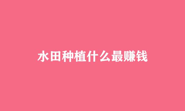 水田种植什么最赚钱