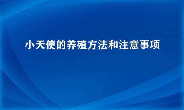 小天使的养殖方法和注意事项