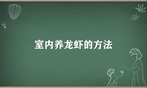 室内养龙虾的方法