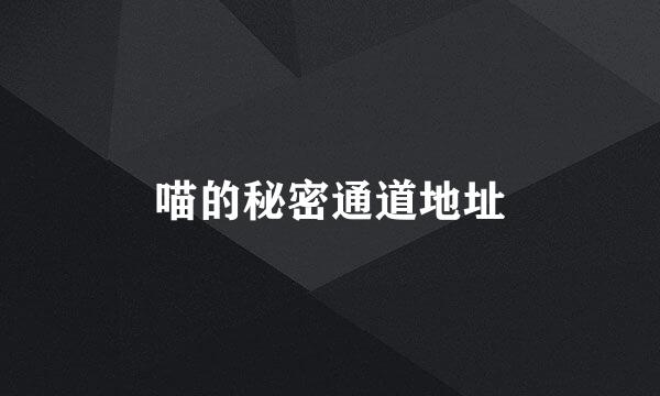 喵的秘密通道地址