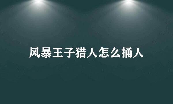 风暴王子猎人怎么捅人