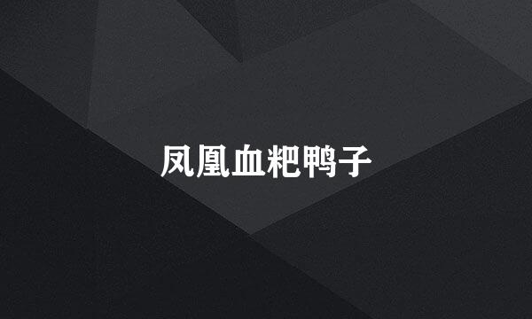 凤凰血粑鸭子