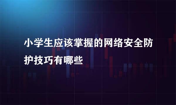 小学生应该掌握的网络安全防护技巧有哪些