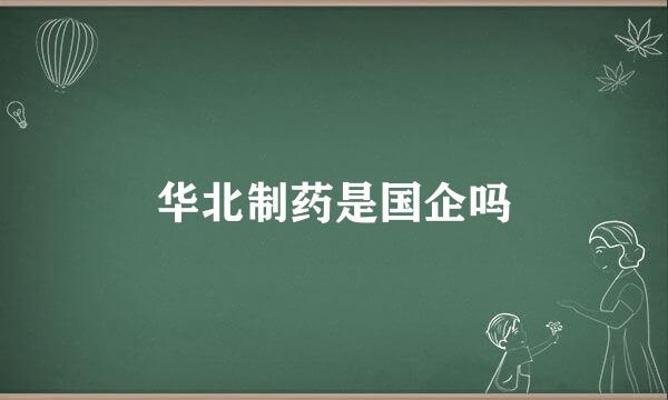 华北制药是国企吗