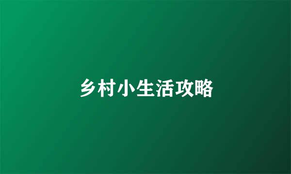 乡村小生活攻略