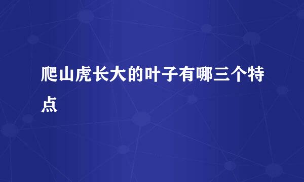 爬山虎长大的叶子有哪三个特点