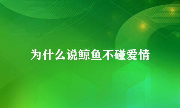 为什么说鲸鱼不碰爱情