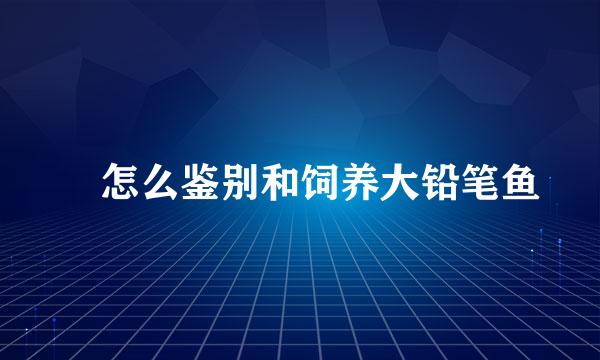 ​怎么鉴别和饲养大铅笔鱼