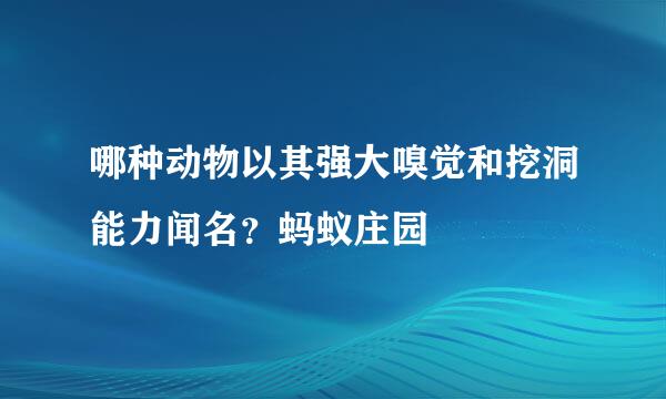 哪种动物以其强大嗅觉和挖洞能力闻名？蚂蚁庄园