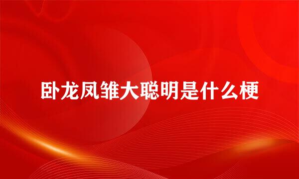 卧龙凤雏大聪明是什么梗
