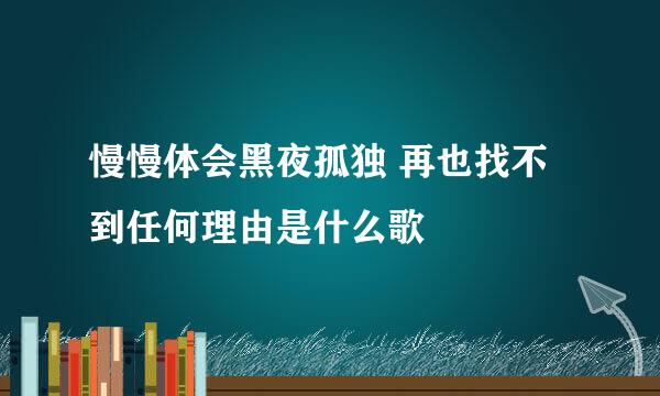 慢慢体会黑夜孤独 再也找不到任何理由是什么歌