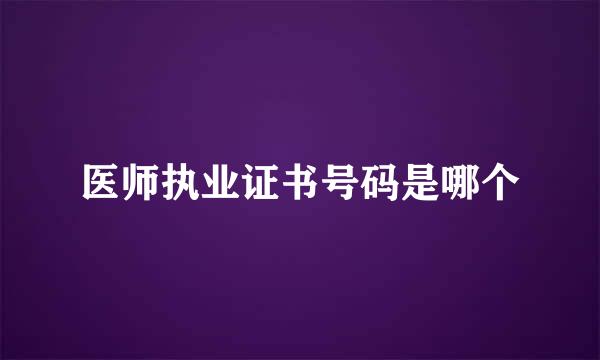 医师执业证书号码是哪个