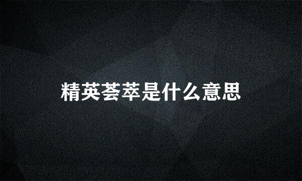 精英荟萃是什么意思