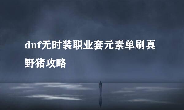 dnf无时装职业套元素单刷真野猪攻略