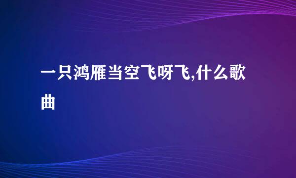 一只鸿雁当空飞呀飞,什么歌曲