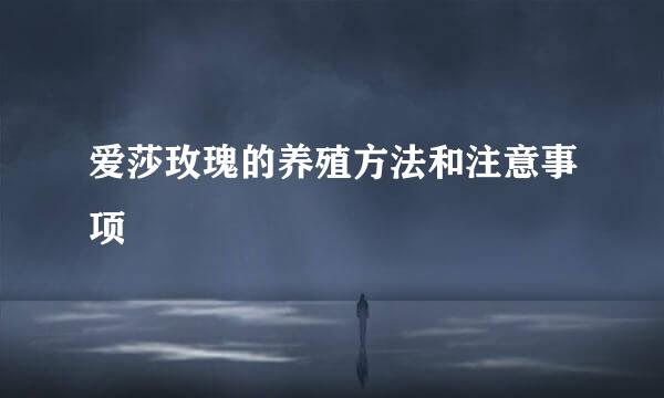 爱莎玫瑰的养殖方法和注意事项