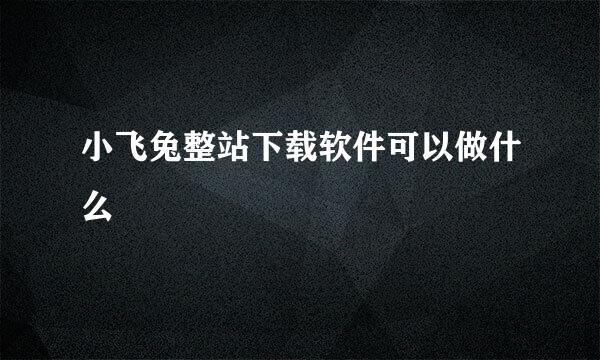 小飞兔整站下载软件可以做什么