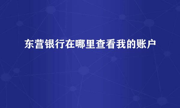 东营银行在哪里查看我的账户