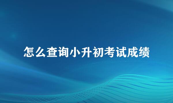 怎么查询小升初考试成绩