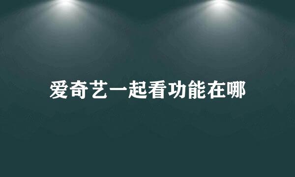 爱奇艺一起看功能在哪