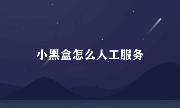 小黑盒怎么人工服务