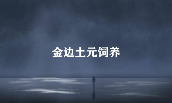 金边土元饲养