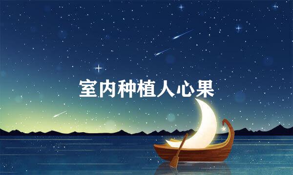 室内种植人心果