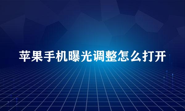 苹果手机曝光调整怎么打开
