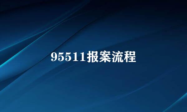 95511报案流程