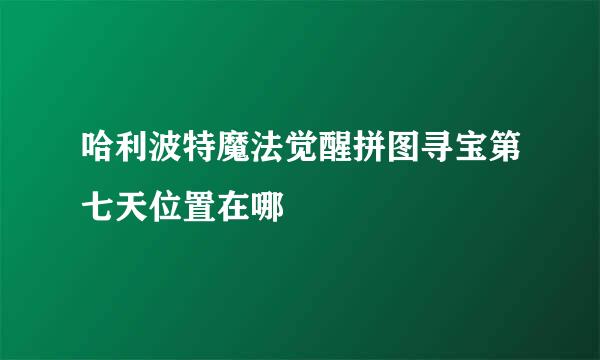 哈利波特魔法觉醒拼图寻宝第七天位置在哪
