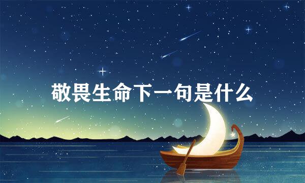 敬畏生命下一句是什么