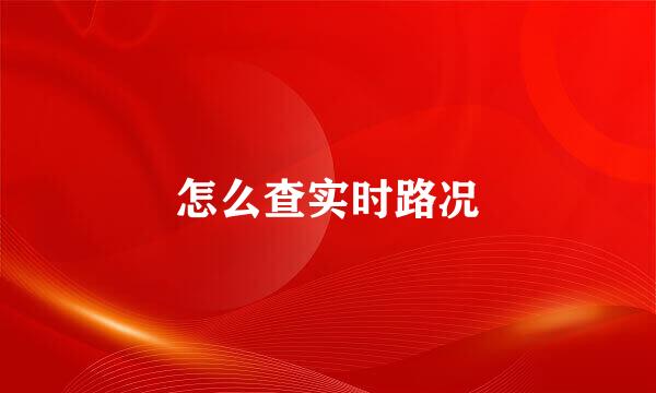 怎么查实时路况