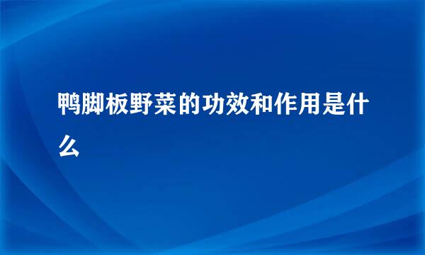 鸭脚板野菜的功效和作用是什么