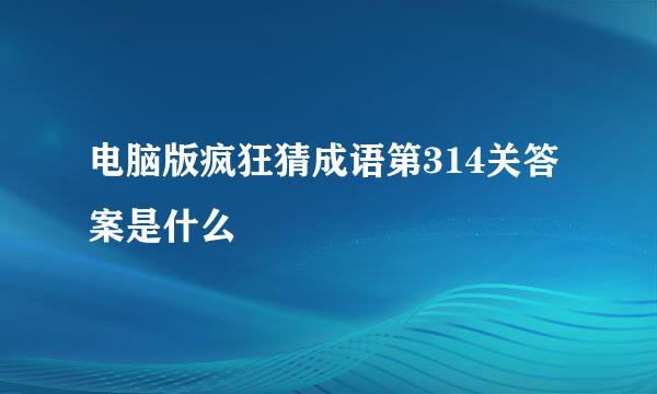 电脑版疯狂猜成语第314关答案是什么