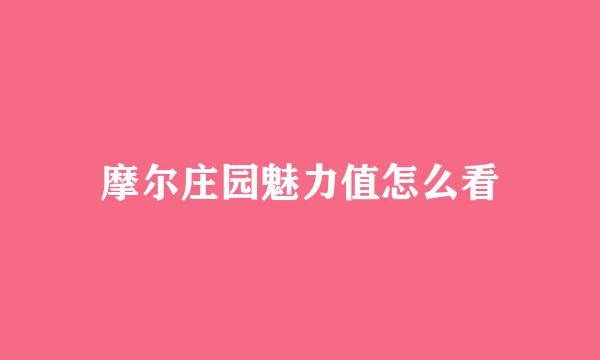 摩尔庄园魅力值怎么看