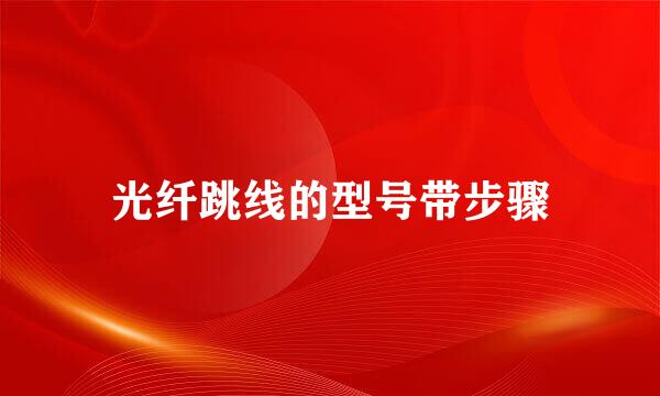 光纤跳线的型号带步骤