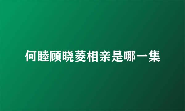 何睦顾晓菱相亲是哪一集