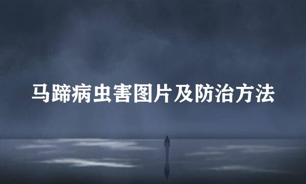 马蹄病虫害图片及防治方法