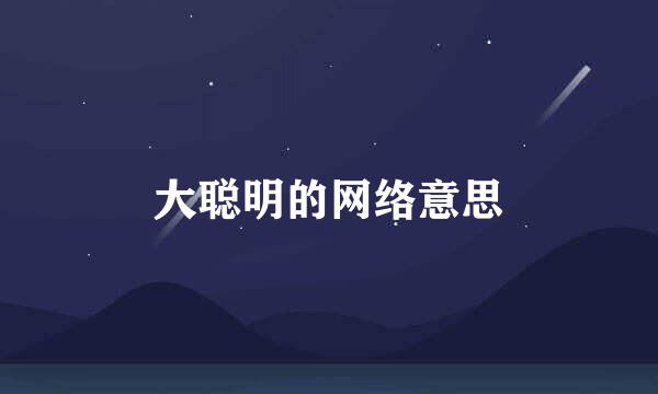 大聪明的网络意思