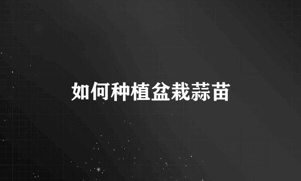 如何种植盆栽蒜苗