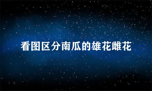 看图区分南瓜的雄花雌花