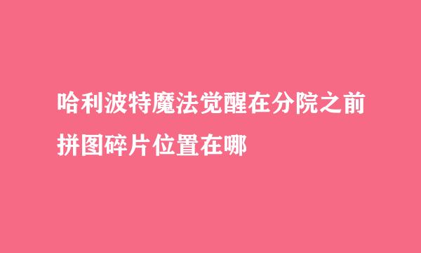 哈利波特魔法觉醒在分院之前拼图碎片位置在哪