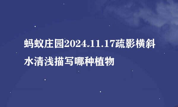 蚂蚁庄园2024.11.17疏影横斜水清浅描写哪种植物