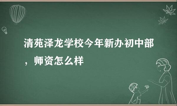 清苑泽龙学校今年新办初中部,师资怎么样