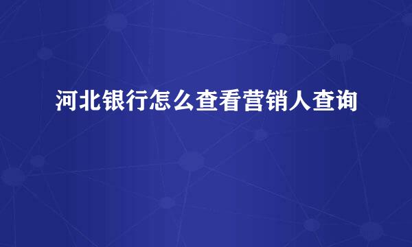 河北银行怎么查看营销人查询