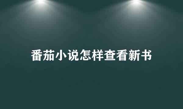 番茄小说怎样查看新书