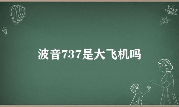 波音737是大飞机吗